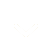SMARTEC